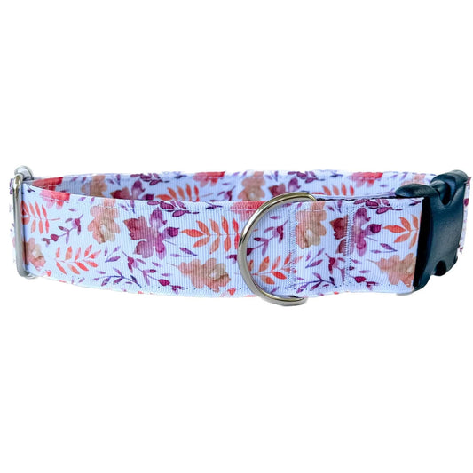 Fall Leaves Watercolor Dog Collar