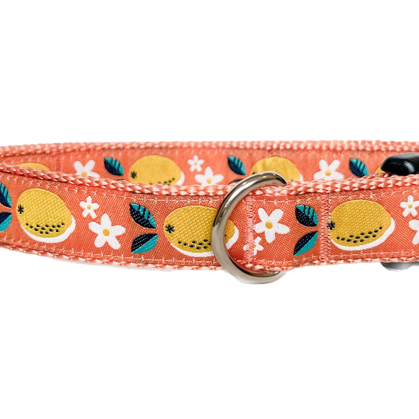 Lemon Blossom Citrus Dog Collar