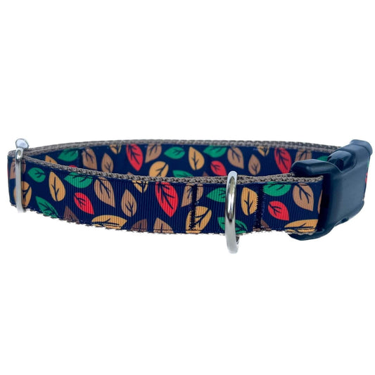 Fall Leaves On Black Dog Collar