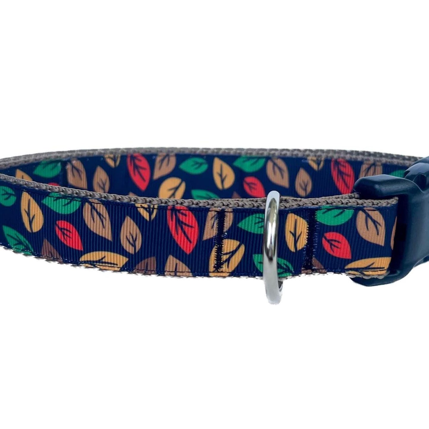 Fall Leaves On Black Dog Collar