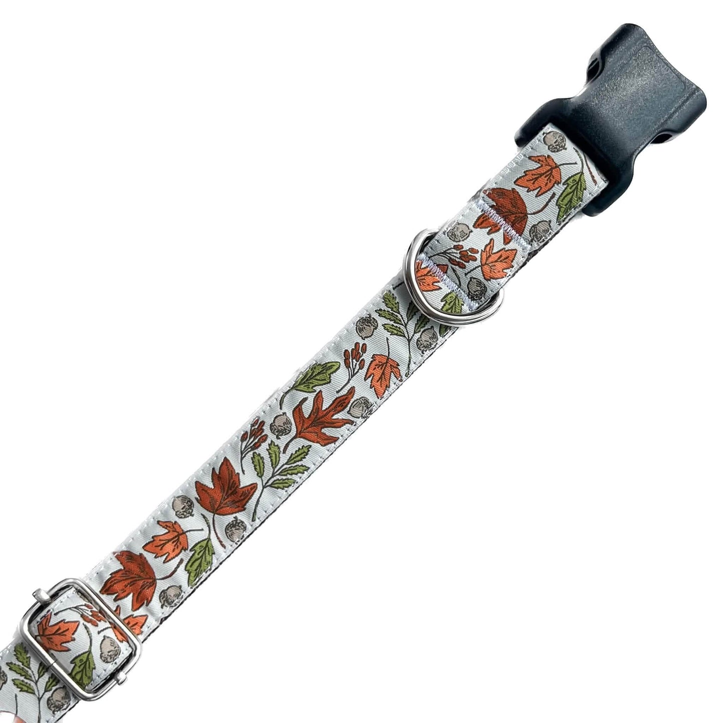 Fall Leaves On White Dog Collar