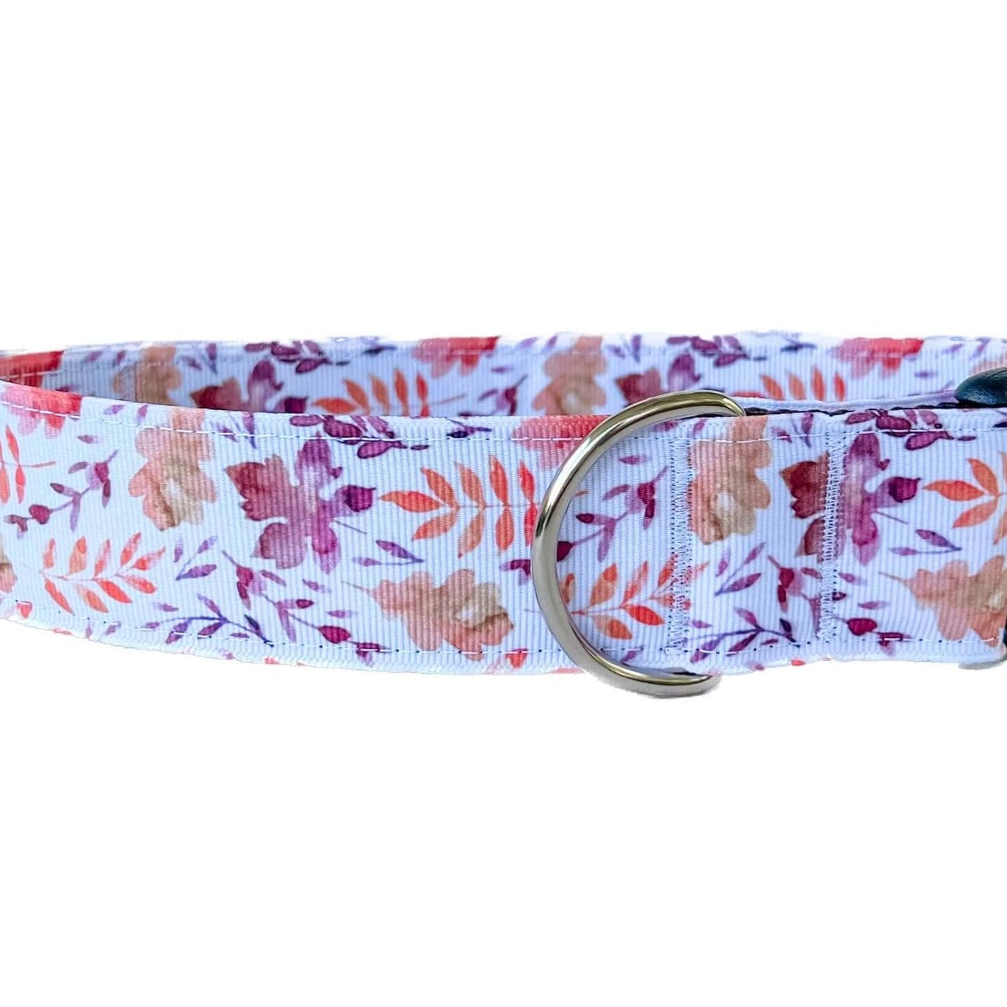 Fall Leaves Watercolor Dog Collar