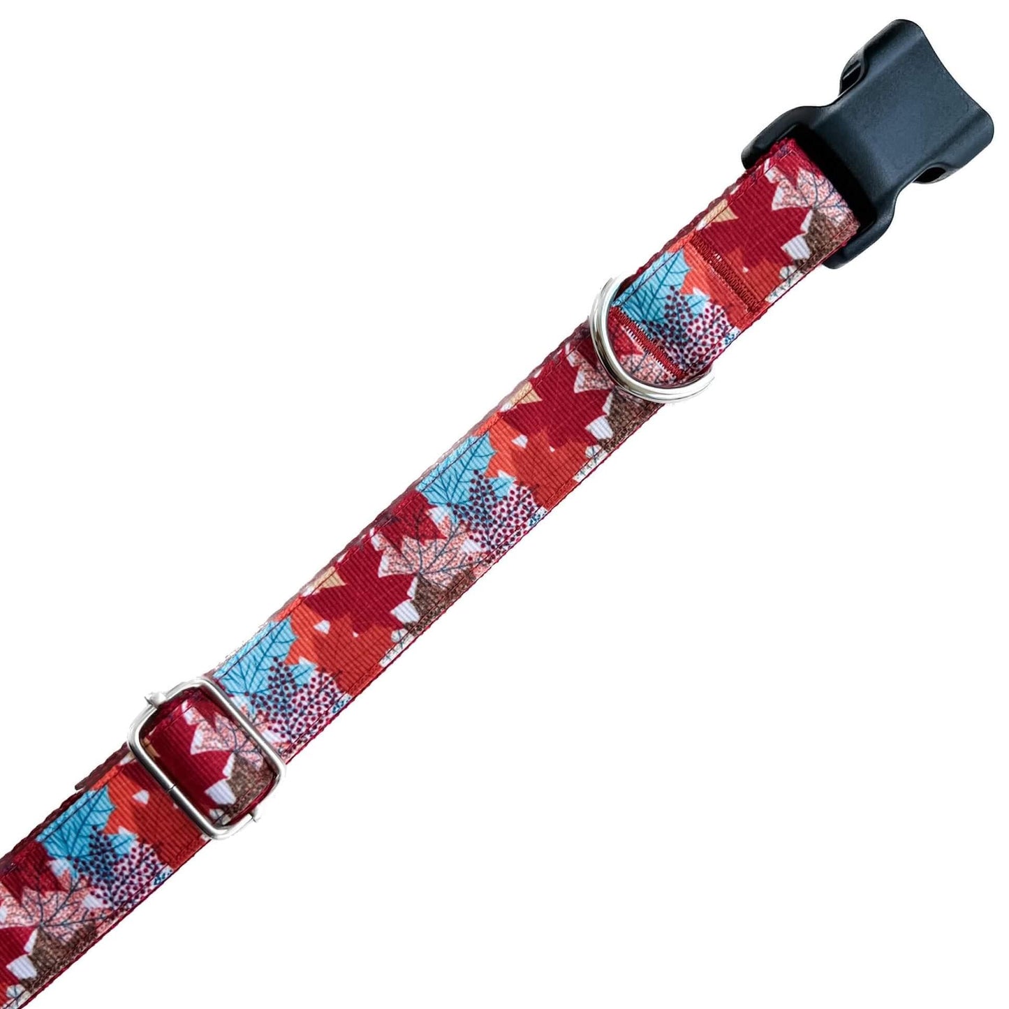 Fall Leaves on Burgundy Dog Collar