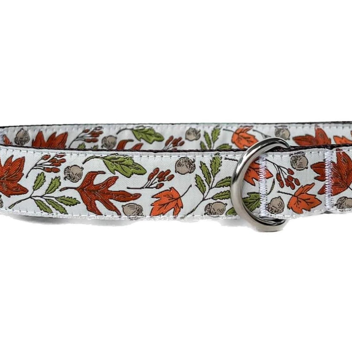 Fall Leaves On White Dog Collar