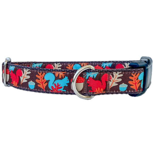 Fall Squirrels and Acorns Dog Collar