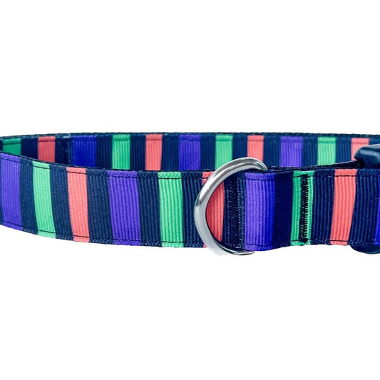 Halloween Stripes Dog Collar