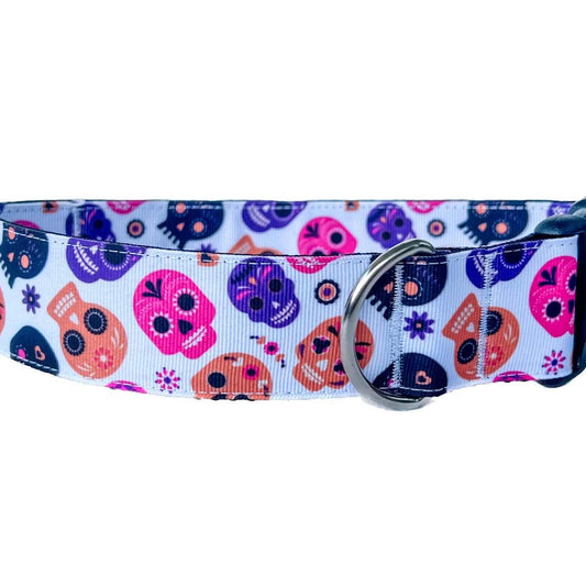 Halloween Sugar Skulls Dog Collar