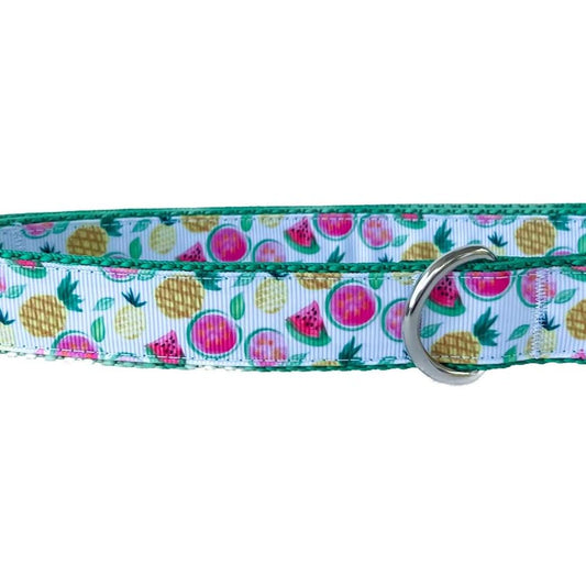 Summer Fruit Dog Collar