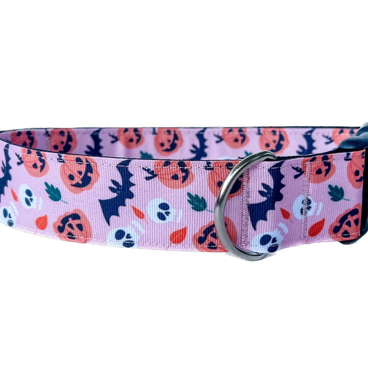 Halloween Spooky Creatures Dog Collar