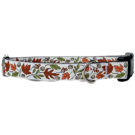 Fall Leaves On White Dog Collar