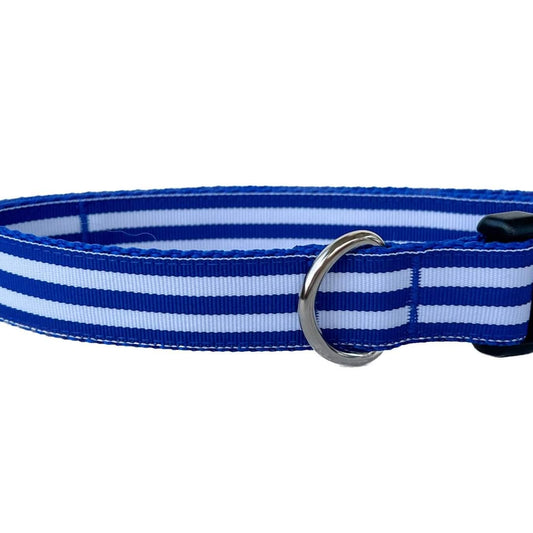 Royal Blue and White Stripes Everyday Dog Collar