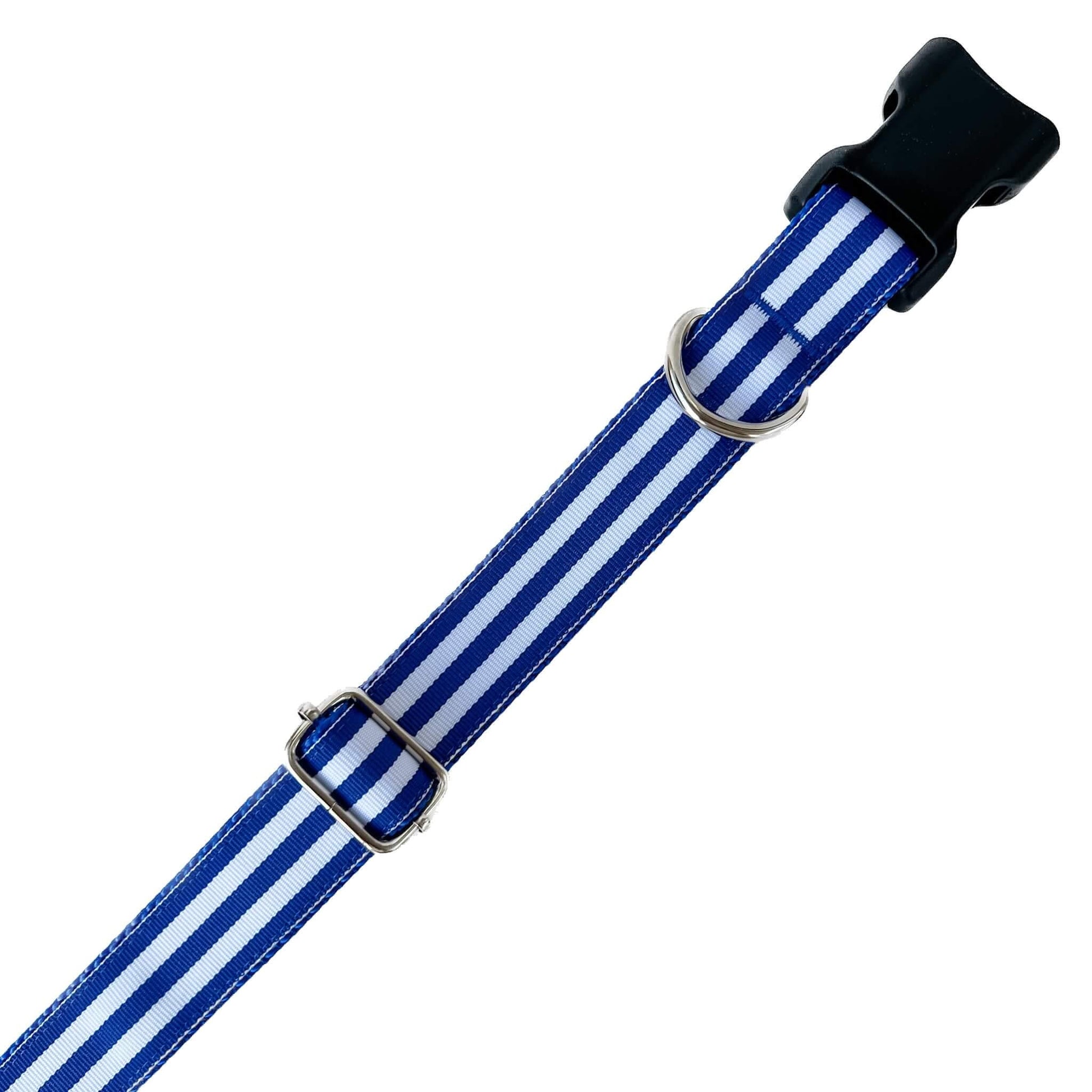 Royal Blue and White Stripes Everyday Dog Collar