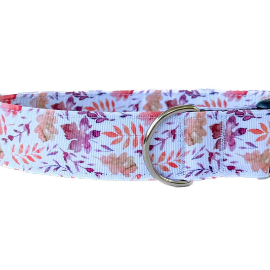 Fall Leaves Watercolor Dog Collar