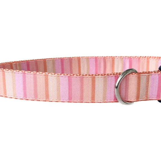 Summer Sherbet Stripe Dog Collar