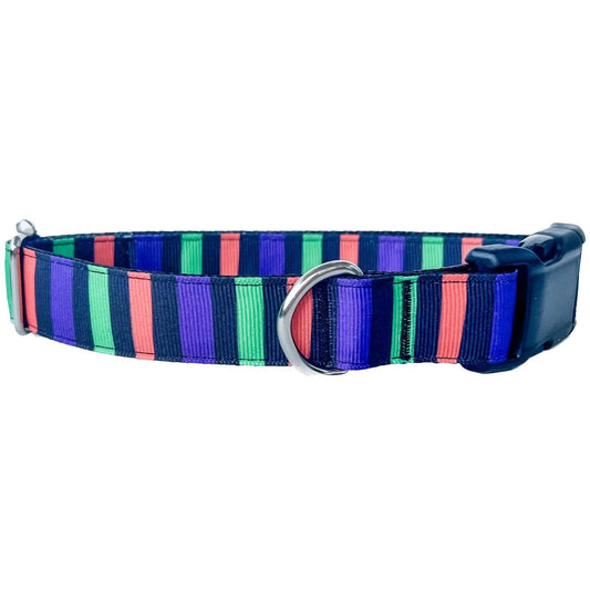 Halloween Stripes Dog Collar