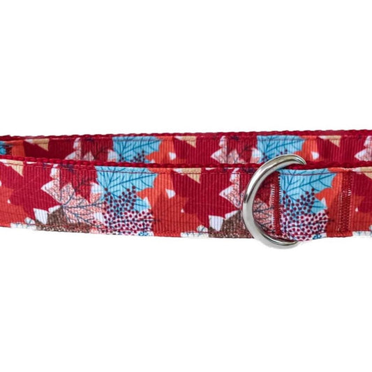 Fall Leaves on Burgundy Dog Collar