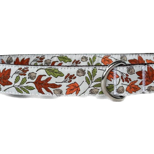 Fall Leaves On White Dog Collar
