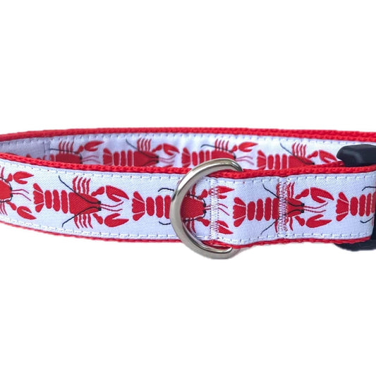 Maine Lobster Dog Collar