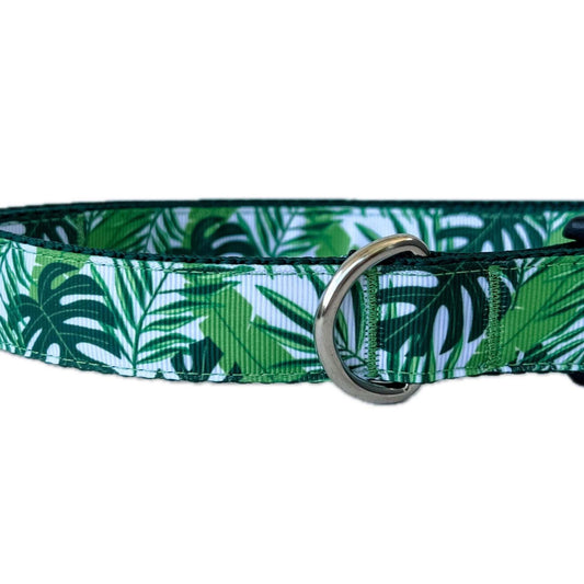 Monstera and Palms Dog Collar