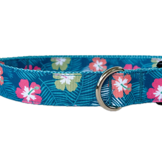 Blue Hawaii Hibiscus Dog Collar