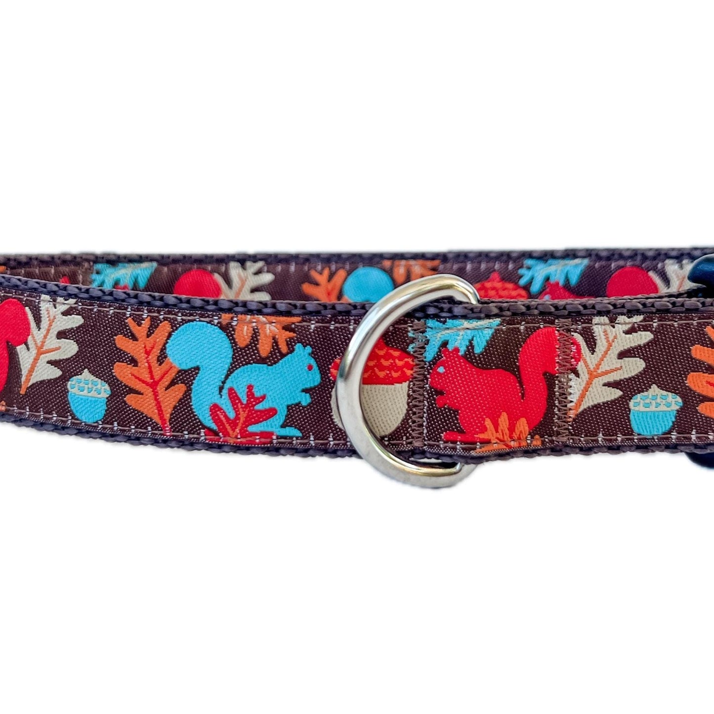 Fall Squirrels and Acorns Dog Collar