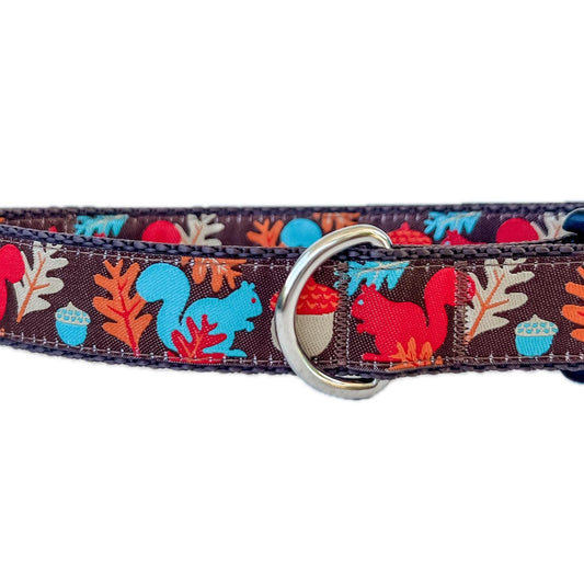 Fall Squirrels and Acorns Dog Collar