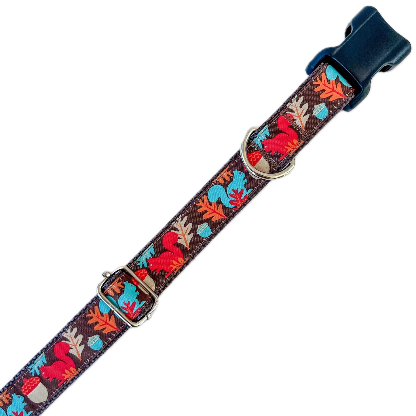 Fall Squirrels and Acorns Dog Collar
